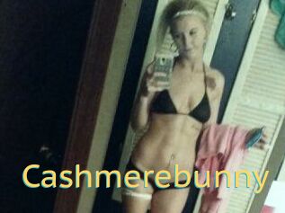 Cashmerebunny