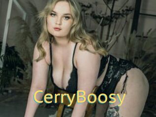 CerryBoosy