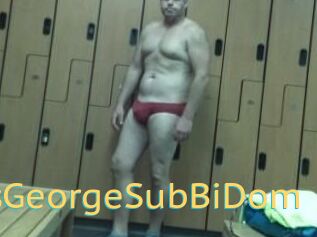 CuriousGeorgeSubBiDom