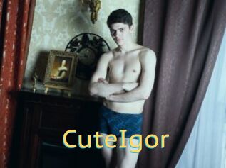 CuteIgor