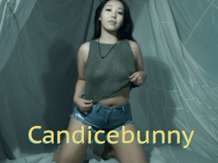 Candicebunny