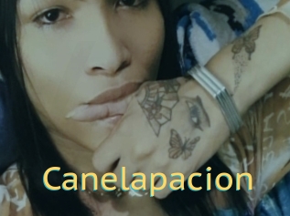 Canelapacion