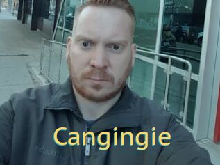 Cangingie