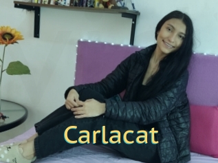 Carlacat