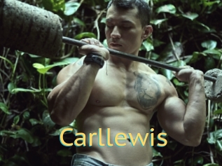 Carllewis