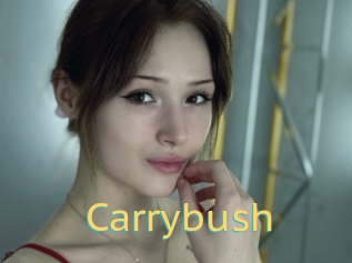 Carrybush