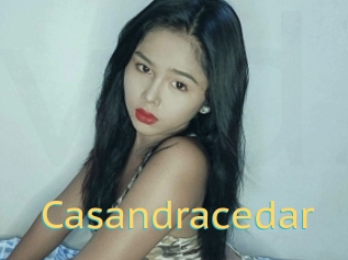 Casandracedar