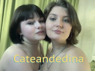 Cateandedina