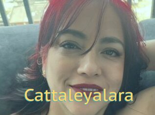 Cattaleyalara