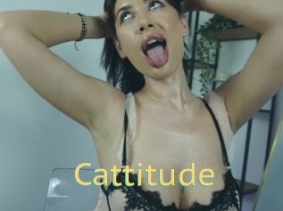 Cattitude