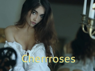 Cherrroses