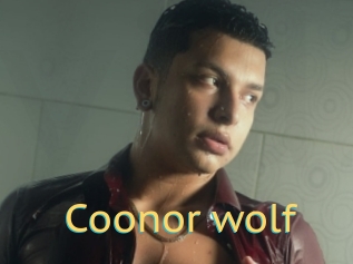 Coonor_wolf