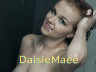 DaisieMaee