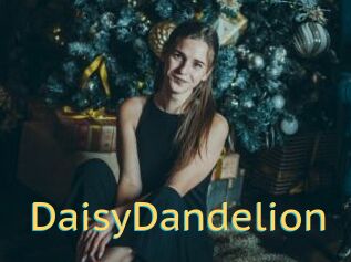 DaisyDandelion