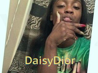 DaisyDior