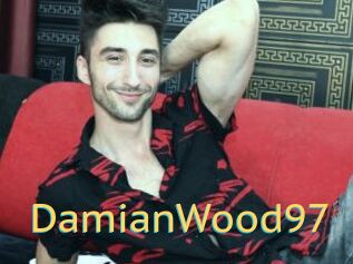 DamianWood97