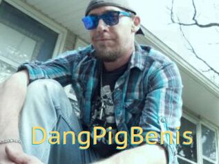 DangPigBenis