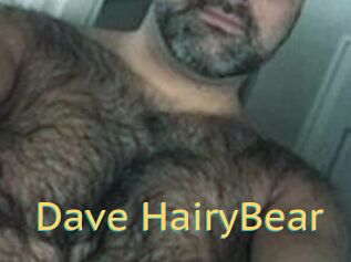 Dave_HairyBear