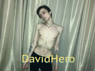 DavidHero