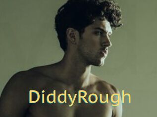 DiddyRough