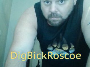 DigBickRoscoe