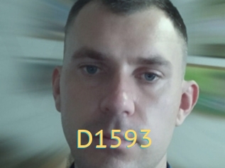 D1593