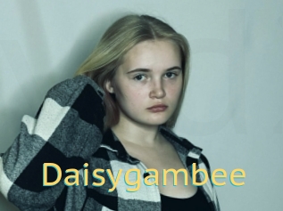 Daisygambee