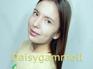 Daisygammell