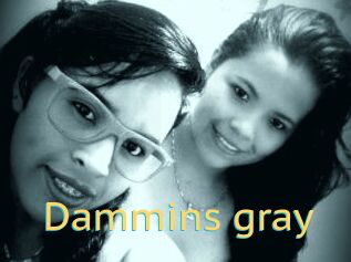 Dammins_gray