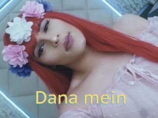 Dana_mein