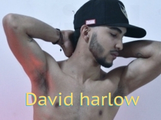 David_harlow