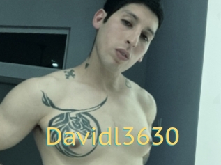 Davidl3630