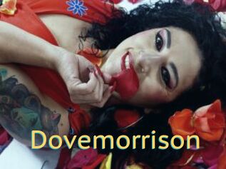 Dovemorrison