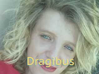 Dragibus