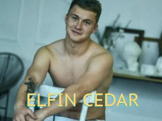 ELFIN_CEDAR