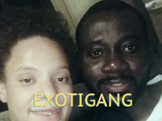 EXOTIGANG