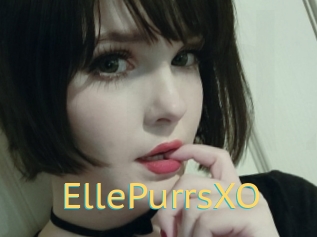 EllePurrsXO