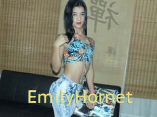 EmilyHornet
