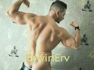 ErwinErv