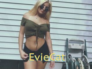 EvieCat