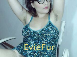 EvieFur