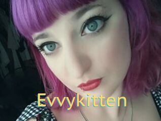 Evvykitten