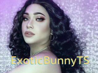 ExoticBunnyTS