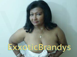 ExxoticBrandys