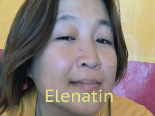 Elenatin