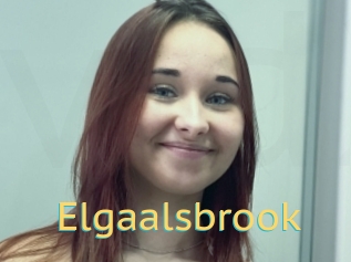 Elgaalsbrook