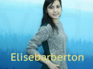 Elisebarberton