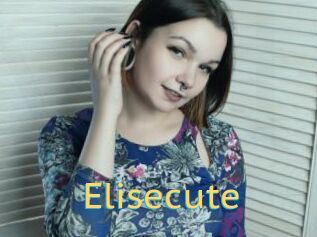 Elisecute