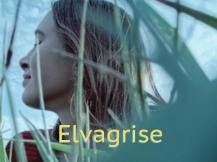 Elvagrise