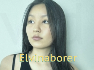 Elvinaborer
